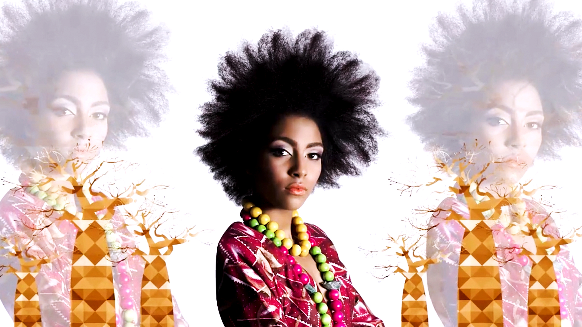 Record Angola Fashion Bresil